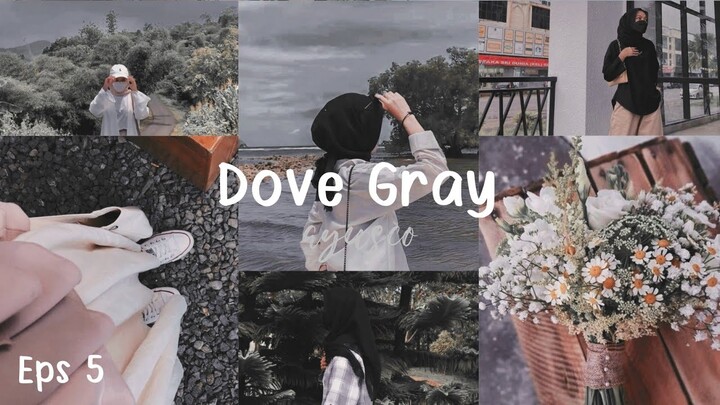 VSCO Tutorial || Cara edit preset Dove Gray || Aesthetic Filter