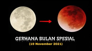 ZOOM 1000X: GERHANA BULAN 19 NOVEMBER 2021