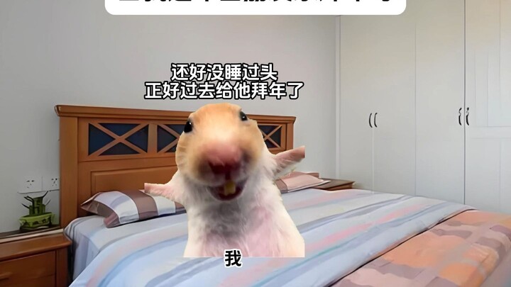 Khi tôi đến nhà bạn bè chúc Tết