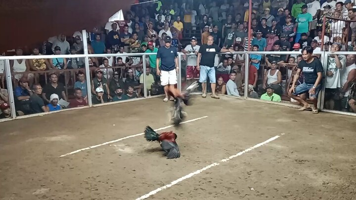melsims black in action