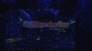 Night of Blossoming Stars