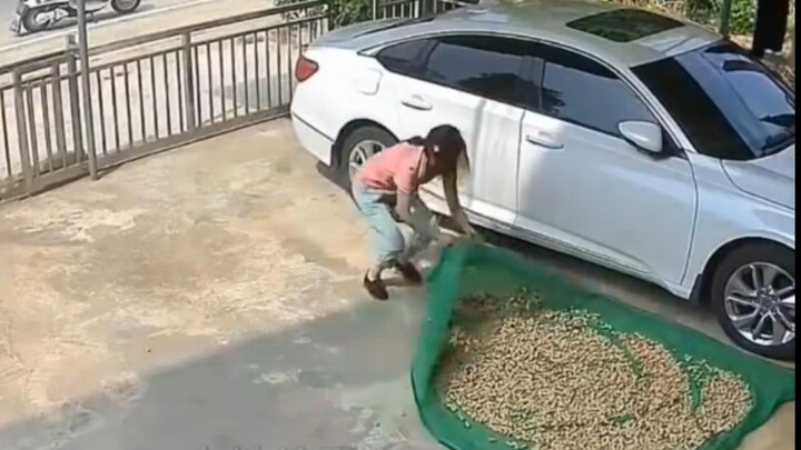 金蝉子，我不想赢了