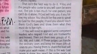 Daily Verse.                  Exodus 18:21-23