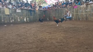 Win