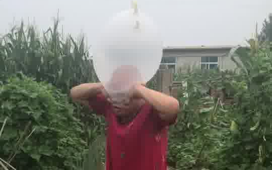 العمة الأسطورية للعالم ثنائي الأبعاد، تاو قه، تعيد تمثيل أسلوب الحياة القاسي: دماغك ينفخ بالونات!