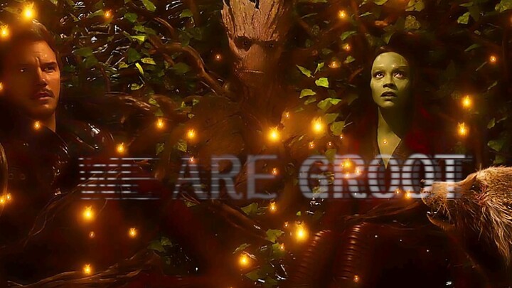 (Rincian Avengers 4) Aku sudah kehilanganmu dua kali, aku nggak mau kehilanganmu lagi.