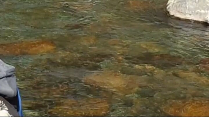 cast net fishing in Nepal | himalayan trout fishing with handmade cast net |