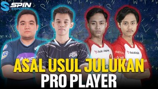 ASAL USUL JULUKAN UNTUK PRO PLAYER ESPORTS INDONESIA! KENAPA PARA PLAYER INI SANGAT DITAKUTI!