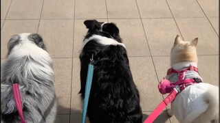 We've known each other for over two years, and I've finally waited for the day when Father Leaves So