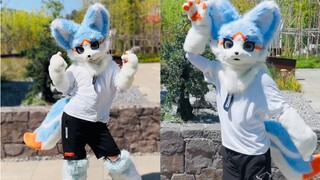 叮叮当当～夏日尾巴敲敲心窗！【高温烫脚限定】