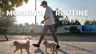 Thói Quen Buổi Sáng 6 Giờ Cùng Hai Bạn Chó | Fall Morning Routine | Living Alone