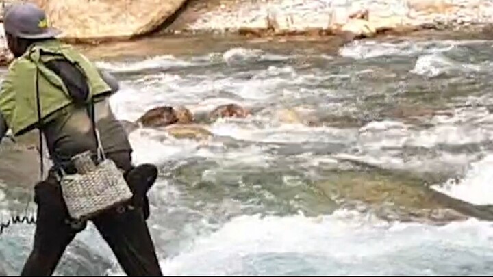 cast netting fishing in Nepal | himalayan trout fishing with handmade cast net |