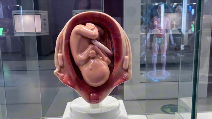 Only mom is the best in the world ❤️