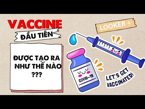 VACCINE VÀ CÂU CHUYỆN HÀNH TRÌNH VƯỢT ĐẠI DƯƠNG LỊCH SỬ | LOOKER +