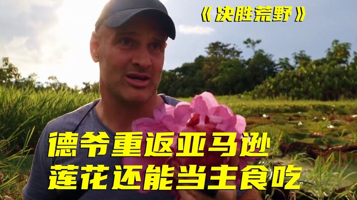 Kakek De kembali beraksi di Amazon! Polong markisa dan larva jadi prasmanan, sementara lawannya memb