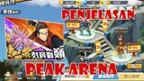 penjelasan peak arena - OPM THE STRONGEST
