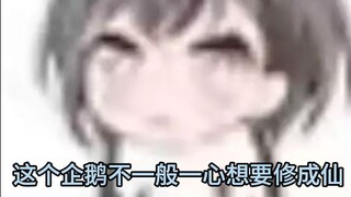 🐧这个企鹅不一般一心想要变成人