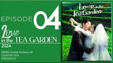 🇨🇳EP4 Love In The Tea Garden (2024)