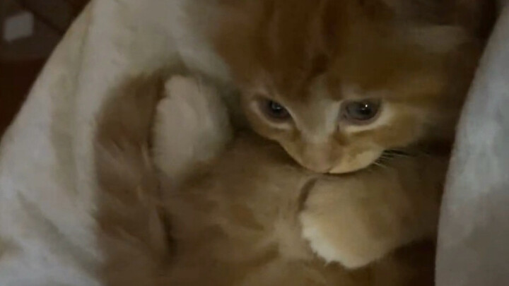 มีมี่ หนูทำให้คุณแม่ได้หน้าต่อหน้าเพื่อนๆ มากเลย!