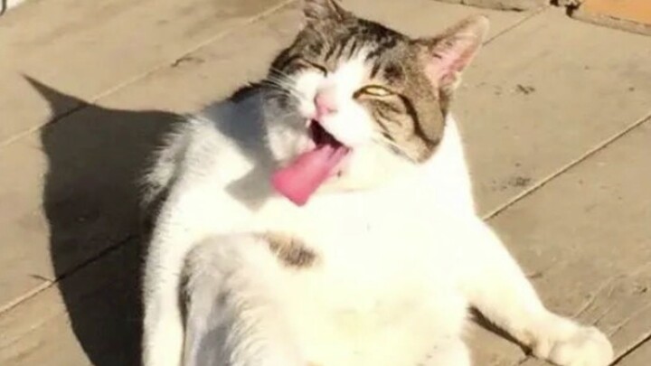 After taking a bite of his own foot, holy cow! That taste is really something!