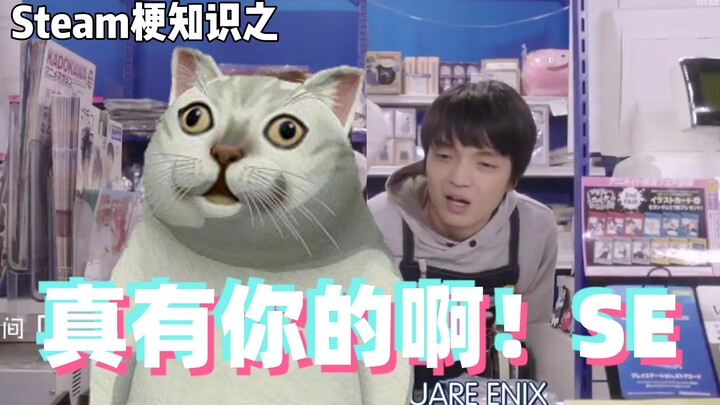 Gaming Memes 101: You Really Know How to Do It, SE!