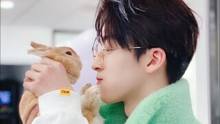 Korean Mix Hindi Songs 💗 Korean Drama 💗 Korean Love Story 💗 Chinese Love Story Song 💗 Let's Romantic