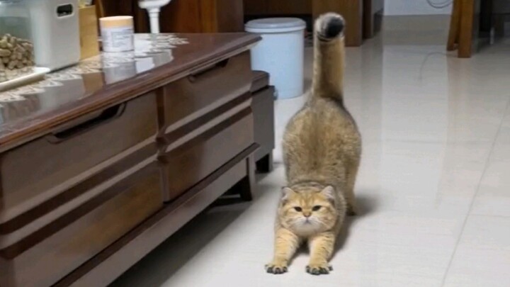 الشيء الأول الذي أفعله بعد الاستيقاظ