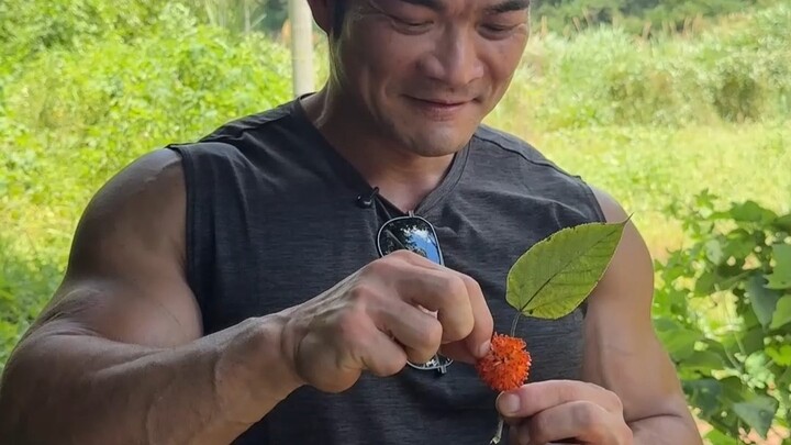 Có anh em nào biết quả này không!