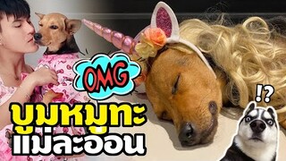 บูม หมูทะ แม่ละอ่อน OMG! โอ้แม่สาวน้อย in Chiang Mai จ้าวว