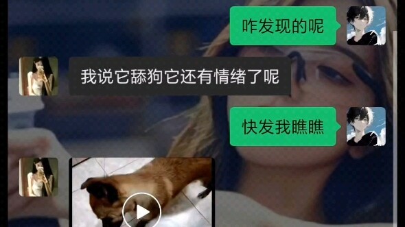 真《舔狗》
