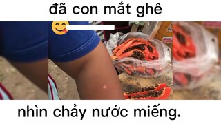 không cần thịt thà tôi chỉ thích hoa quả#amthucduongpho#moongnmoingay