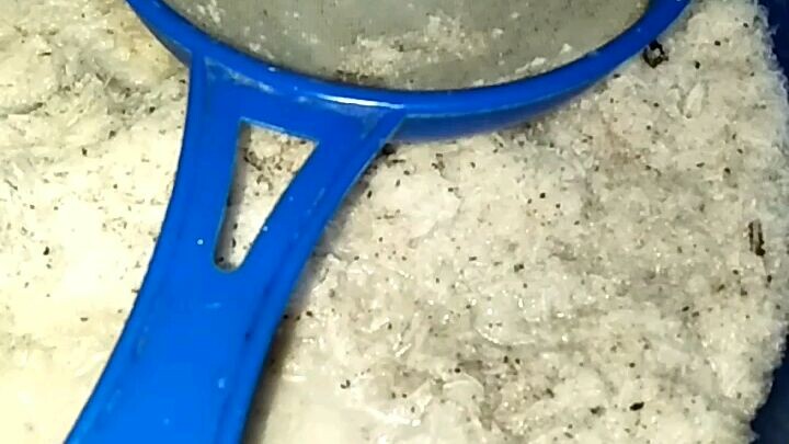 ayam gulai menu simpel