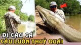 Người Đàn Ông Đi Câu Cá Cho Vui Rồi Câu Luôn Con Thủy Quái Khổng Lồ | Tám Tới Tấp