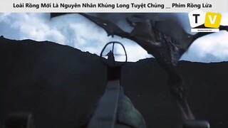 Loài Rồng Mới Là Nguyên Nhân Khủng Long Tuyệt Chủng __ Phim Rồng Lửa_p5
