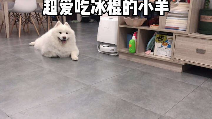 这么冷的天，吃根冰棍压压惊吧！