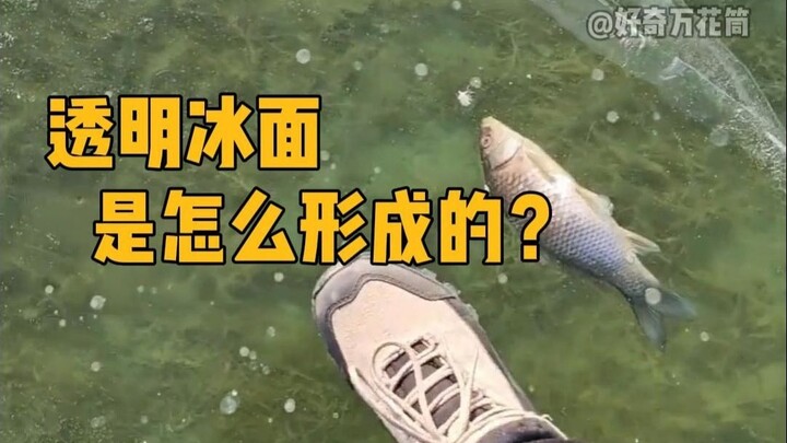 น้ำแข็งใสเกิดขึ้นได้อย่างไร? #วิทยาศาสตร์พื้นฐาน #ฤดูหิมะและน้ำแข็ง #ผิวน้ำแข็ง #เพิ่มความรู้