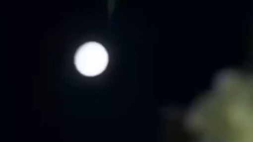 Chinese Short Drama After I entered the novel, the main women could hear my thoughts.