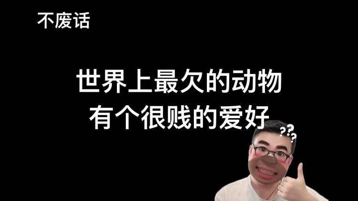 【Langsung ke inti】Hewan paling berhutang di dunia punya hobi yang sangat menyebalkan...