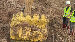 Apakah tanah jarang adalah tanah yang paling mahal? Berbagi pengetahuan tentang 13 jenis tanah yang