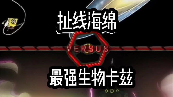 扯线海绵VS卡兹