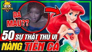 Da Nàng Tiên Cá Màu Gì? 50 Sự Thật Thú Vị The Little Mermaid | meXINE