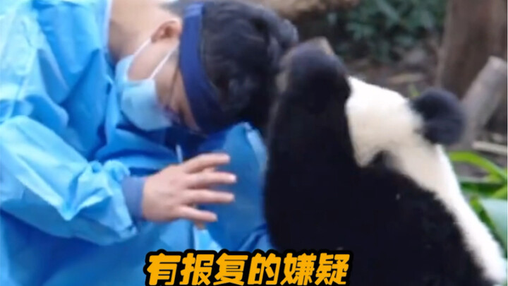 大熊猫：说话都给我小心点