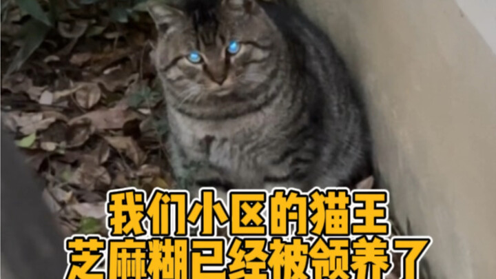 Penculikan sebagai pengganti pembelian