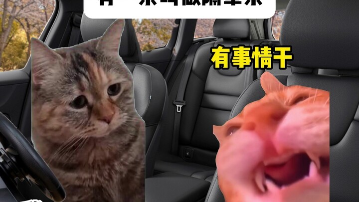 มีความผูกพันชนิดหนึ่งเรียกว่าความผูกพันข้ามรุ่น