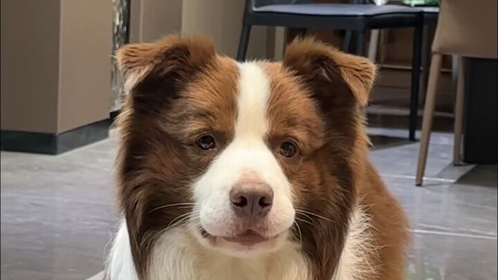 ชีวิตประจำวันของยี่จื่อกับคุณพ่อ