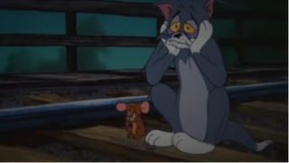 Lớn rồi tôi mới hiểu được tập tom và Jerry này