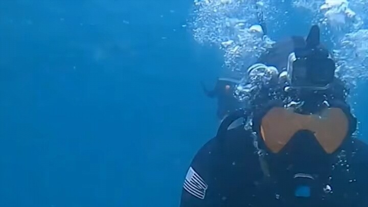 ผจญภัยตามล่าสมบัติใต้ทะเล