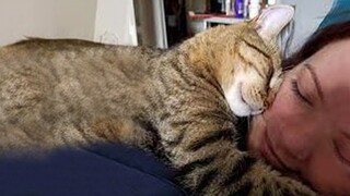 Goodbye Winter When Cats Are With You  - Cute Cats And Their Owners Sleep Together