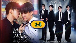 🇹🇼(ENG SUB) 𝘽𝙇𝘼𝘾𝙆 & 𝙒𝙃𝙄𝙏𝙀 𝙞𝙨 𝙍𝙀𝘼𝙇 (2025) EP 1-3 [Short Drama]