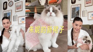 Dress Juni in a cute * dress—she’s so adorable!